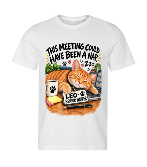 Meeting Nap
